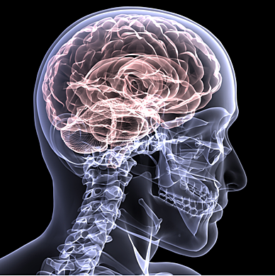 Historia Neuropsicología