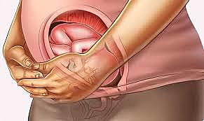 Sistema nervioso completo