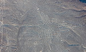 Líneas de Nazca