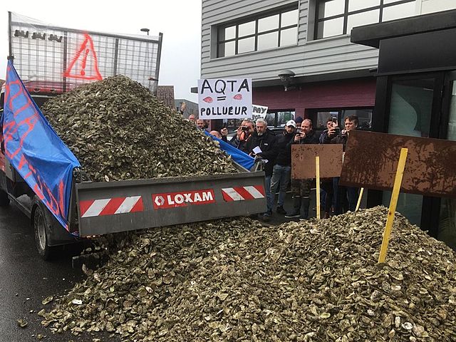 OSTREICULTURE - AURAY