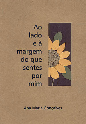 Ao lado e à margem do que sentes por mim, de Ana Maria Gonçalves
