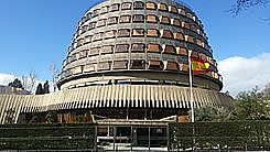 TRIBUNAL CONSTITUCIONAL (ESPAÑA)