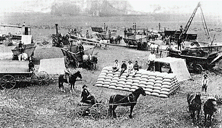 Cambios en la Agricultura