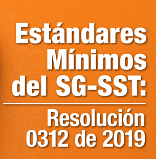 Resolución 0312 de 2019