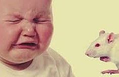 JOHN B. WATSON Y ROSALIE RAYNER