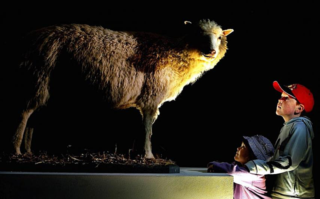 La clonación (1996)