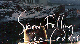 Timeline: Snow Falling on Cedars