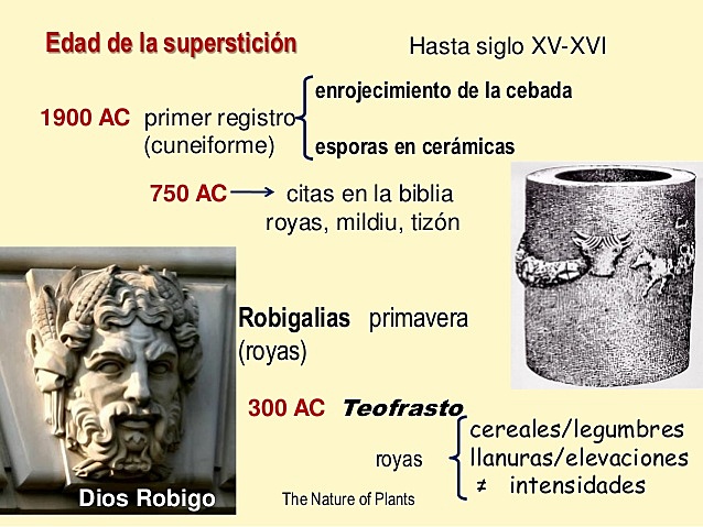 LA ENFERMEDAD Y LA SUPERSTICIÓN