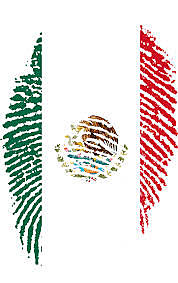 Cámara de Senadores