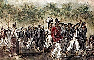 La Guerra de la Triple Alianza