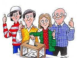 Participación Electoral