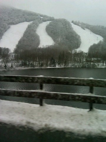 Cannon with the family!