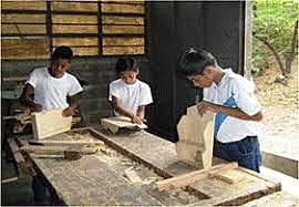 LOS INSTITUTOS CON ORIENTACIÓN OCUPACIONAL, POSIBILIDADES DE EDUCACIÓN E INSERCIÓN SOCIAL AL MUNDO LABORAL