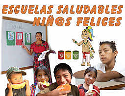 LAS ESCUELAS SALUDABLES, NATURALEZA BONDADES Y LIMITACIONES.