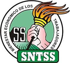 Sindicato de Trabajadores del Seguro Social (México)