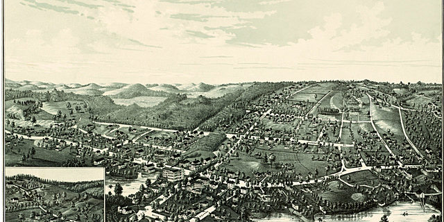 Depuración experimental