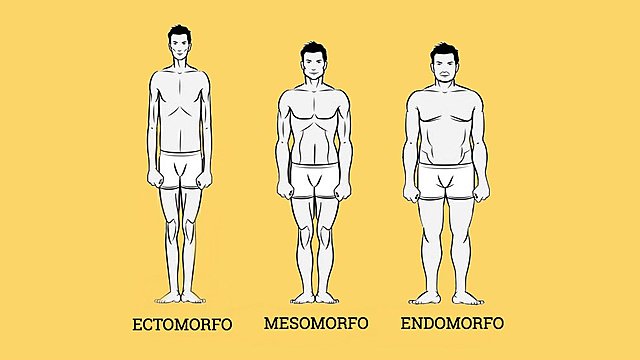 Sheldon, Stevens y Tucker.