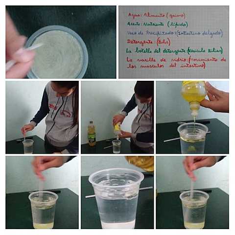 EXPERIENCIAS EN CASA