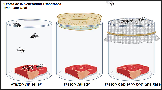 Francesco Redi, Teoría espontanea en gusanos.