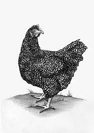 Francis Peyton Rous descubre el virus (retrovirus) produce tumores (sarcomas) en pollos.