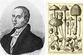 MICHELLI- INVESTIGACIÓN POR EXPERIMENTO- 1.729