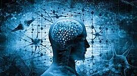 Timeline: RADIOLOGIA Y RADIOPROTECCION