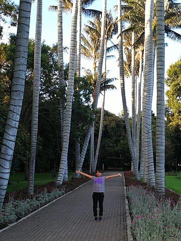 Biblioteca Virgilio Barco