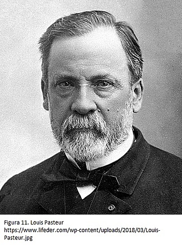 Louis Pasteur