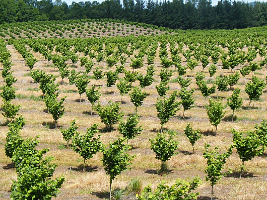 Factores de fricción