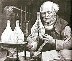 Medicamentos vegetales Siglo XVl