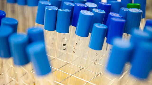 Nuevo líder de investigación