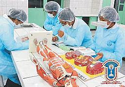 Ciencia Edad antigua. La Medicina Epoca 450 a. C.