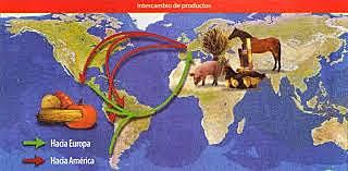 Adaptaciones de productos