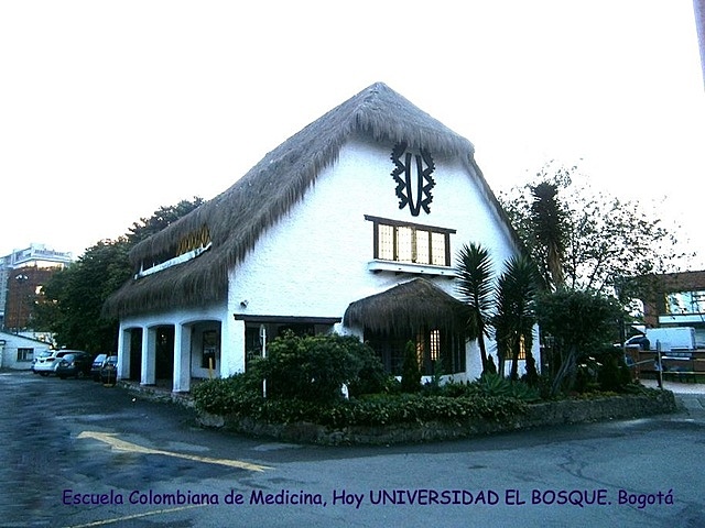 PRIMEROS TRANSPLANTES DE RIÑON EN COLOMBIA.