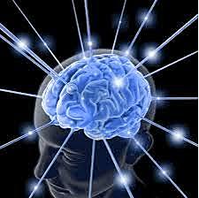 NACIMIENTO DE LA ASOCIACIÓN NACIONAL DE BIOETICA