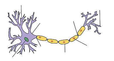 Modelos de Neuronas Artificiales