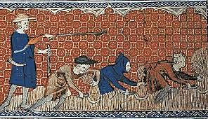 Edad media Feudalismo