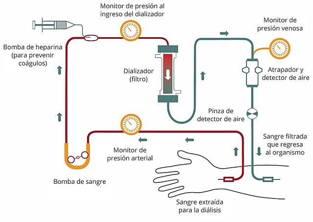 El nacimiento de la bioética