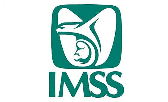 Ley del Seguro Social