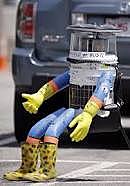Hitchhiking Robot Created