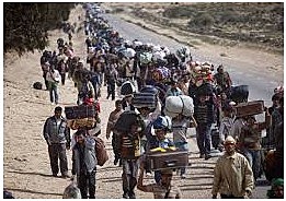 MOVIMIENTOS MIGRATORIOS