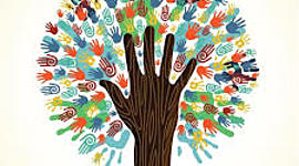 Timeline: EL BIEN COMUN