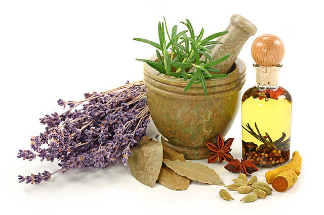 Avances A La Medicina