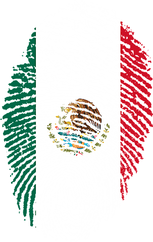Se presenta en México el proyecto de reforma del artículo 73 para legislar a favor de los datos personales