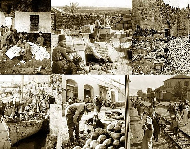 Nomenclatura de Ginebra.