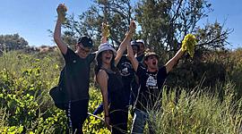 Timeline: שנת פרחים 2020-2021