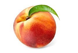 Classroom Read Alouds