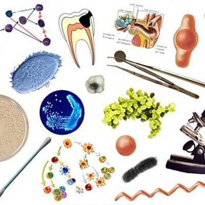 Timeline: Evolución histórica del concepto salud  y enfermedad