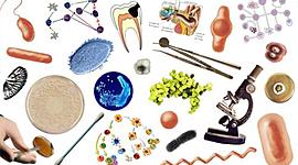 Timeline: Evolución histórica del concepto salud  y enfermedad