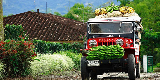 Paisaje Cultural Cafetero. El PCCC constituye un ejemplo sobresaliente de adaptación humana a condiciones geográficas difíciles sobre las que se desarrolló una caficultura de ladera y montaña.